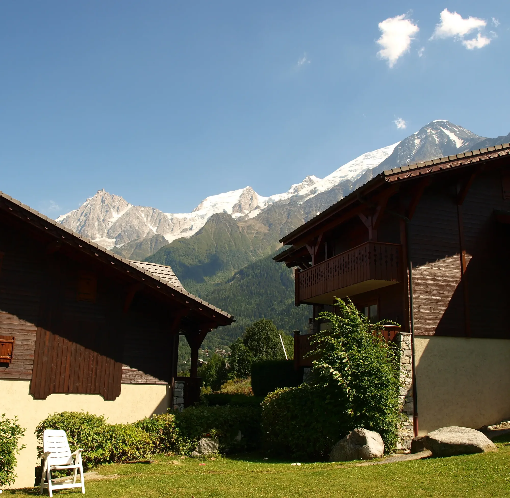 Garden and pool area in summer