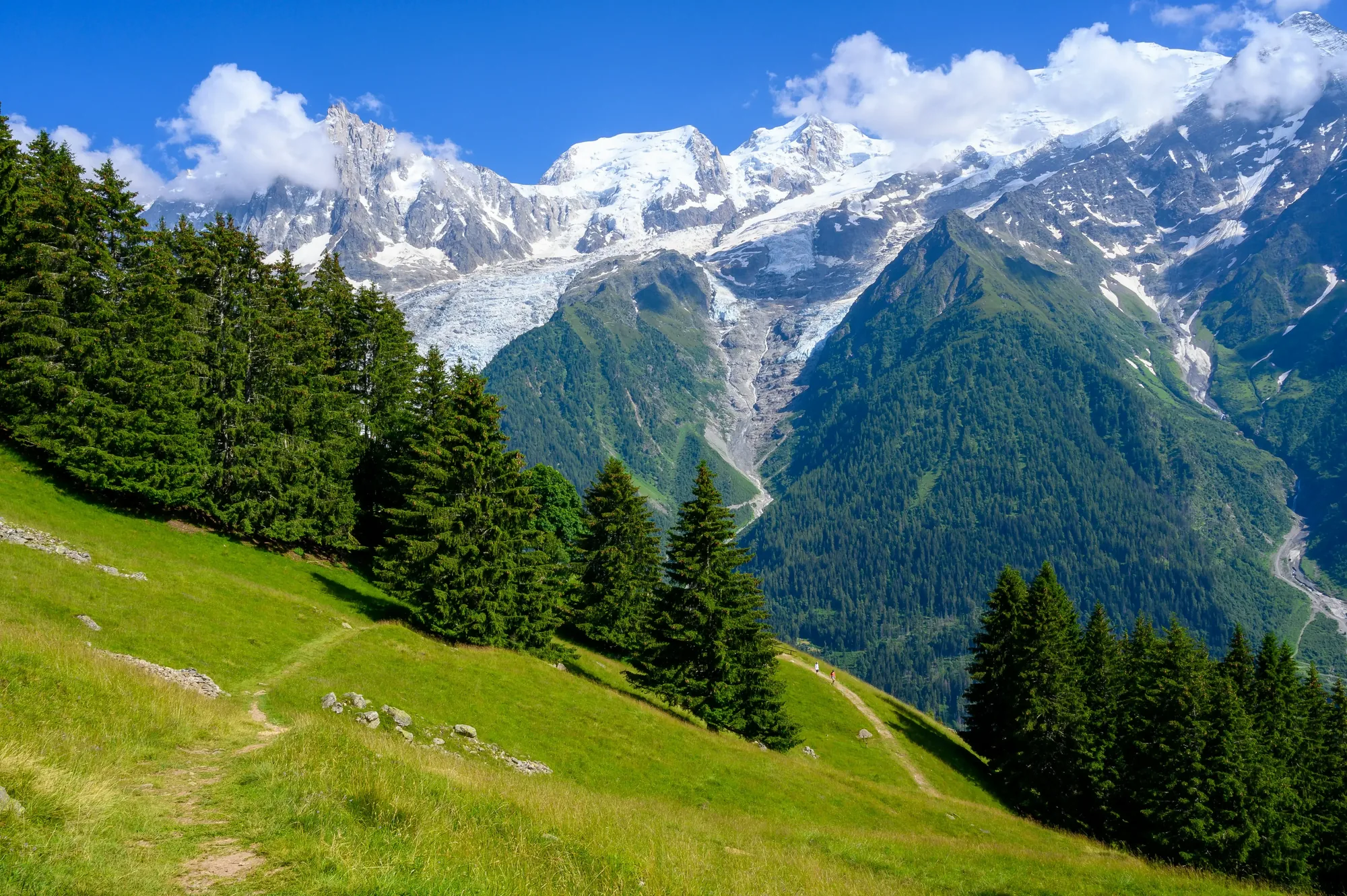 Chamonix Valley in summer